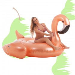 Flamenco gigante bronce